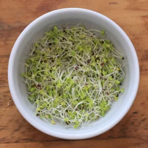 Broccoli Sprout